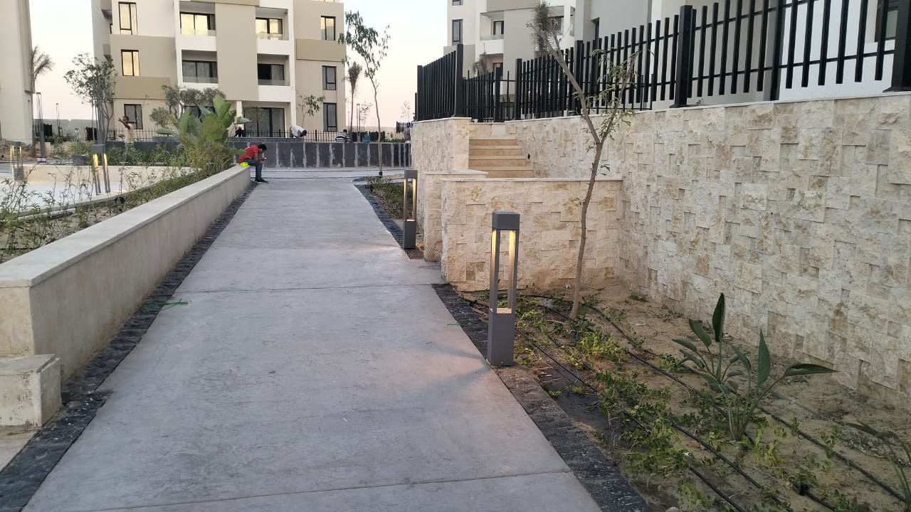 صورة 2